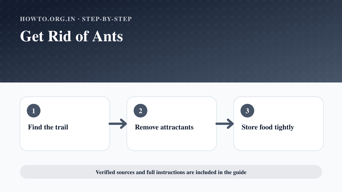 Process overview for Get Rid of Ants