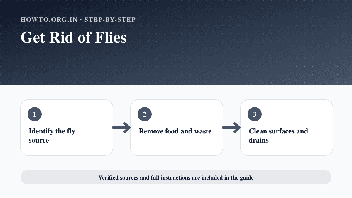Process overview for Get Rid of Flies