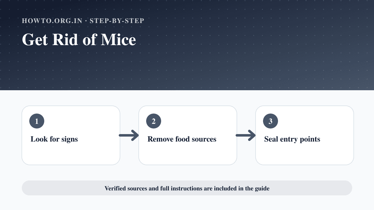 Process overview for Get Rid of Mice