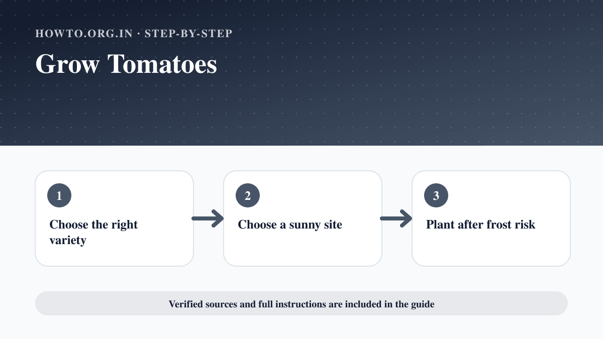 Process overview for Grow Tomatoes